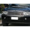 Grille de calandre RRL322