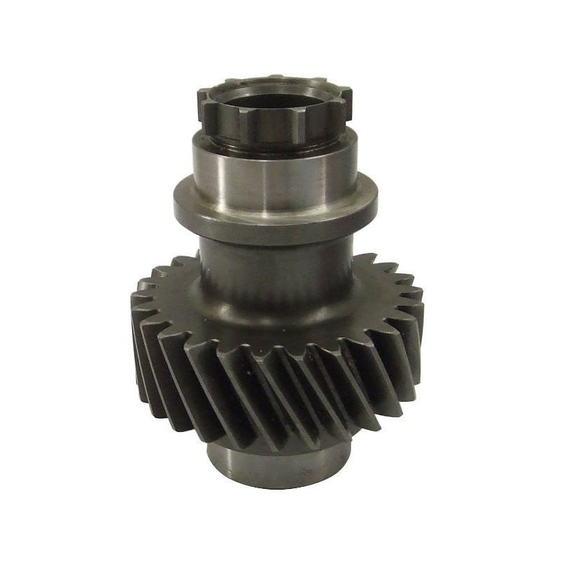 Pignon d'entrée (2ème montage) 