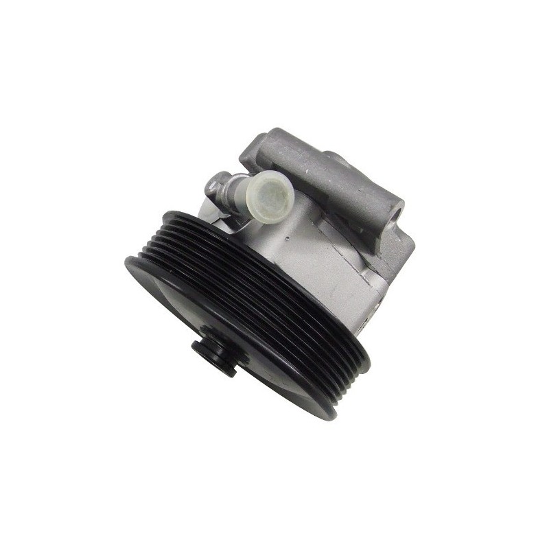 Pompe de Direction Assistée OEM pour : Range P38 V8 à partir de 1998
