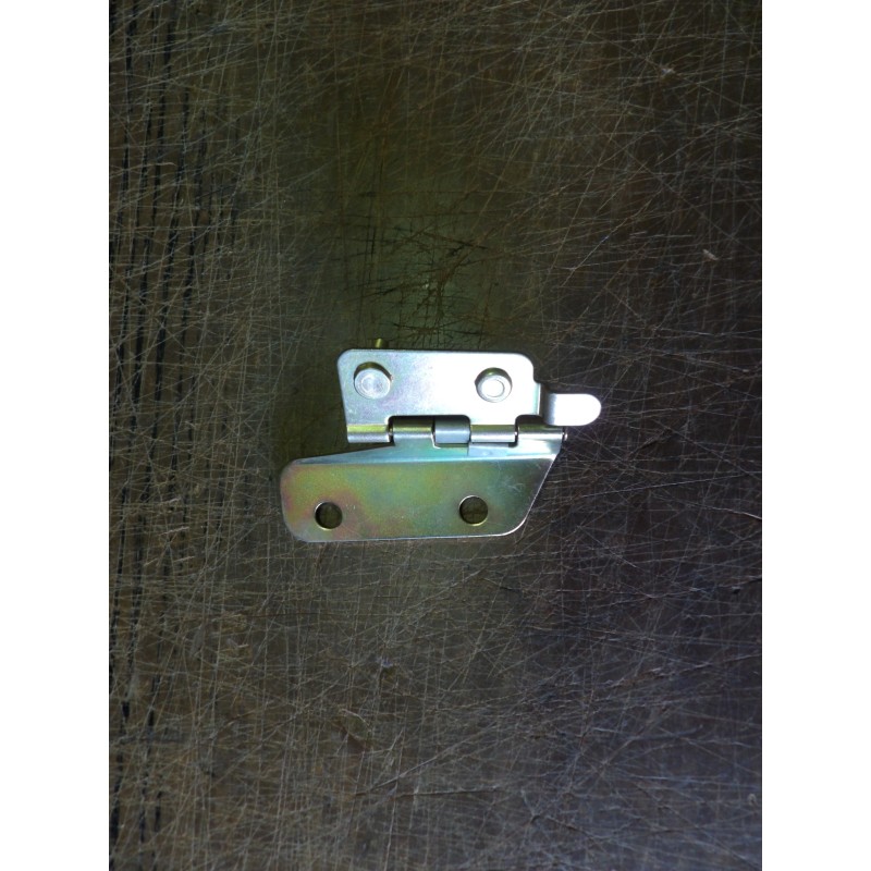 Charnière de Trappe à Carburant