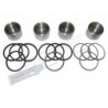 Kit 4 Pistons INOX + Coupelles Arrière