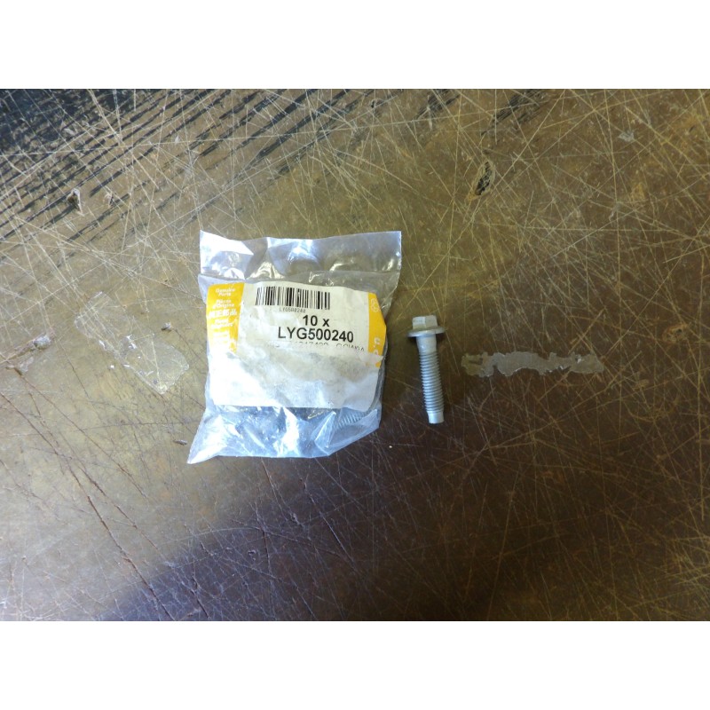 Vis du Support d'Alternateur M8 x 33mm