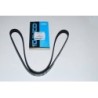 Courroie d'Accessoires OEM