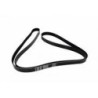 Courroie d'Accessoire (2081mm) Monté à partir de 1999