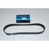 Courroie Secondaire DAYCO d'Accessoires