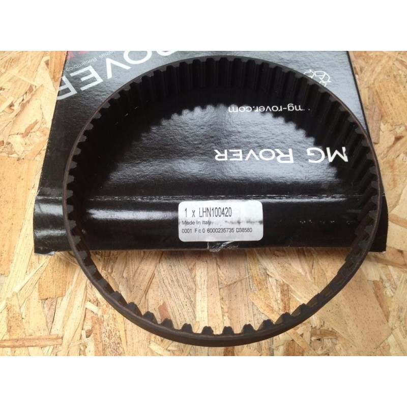 Courroie de Distribution Arrière OEM