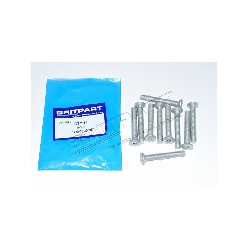 Vis de Charnière de Porte Coté Porte Monté de 1998 à 2006