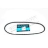 Courroie du Ventilateur DAYCO