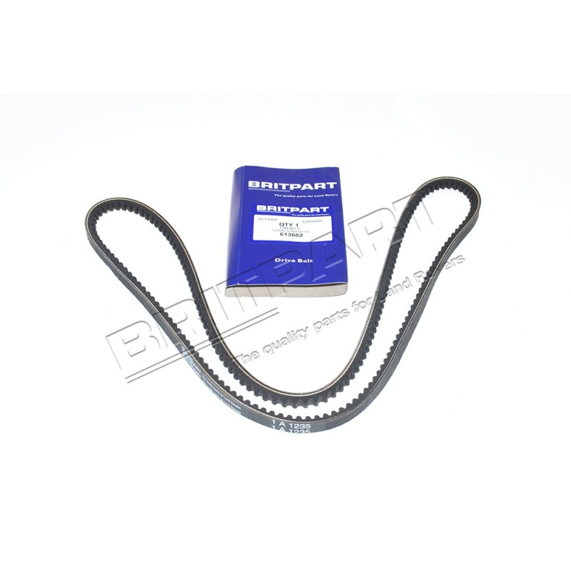 Courroie du Ventilateur/Alternateur Montage sans Clim. et sans DA