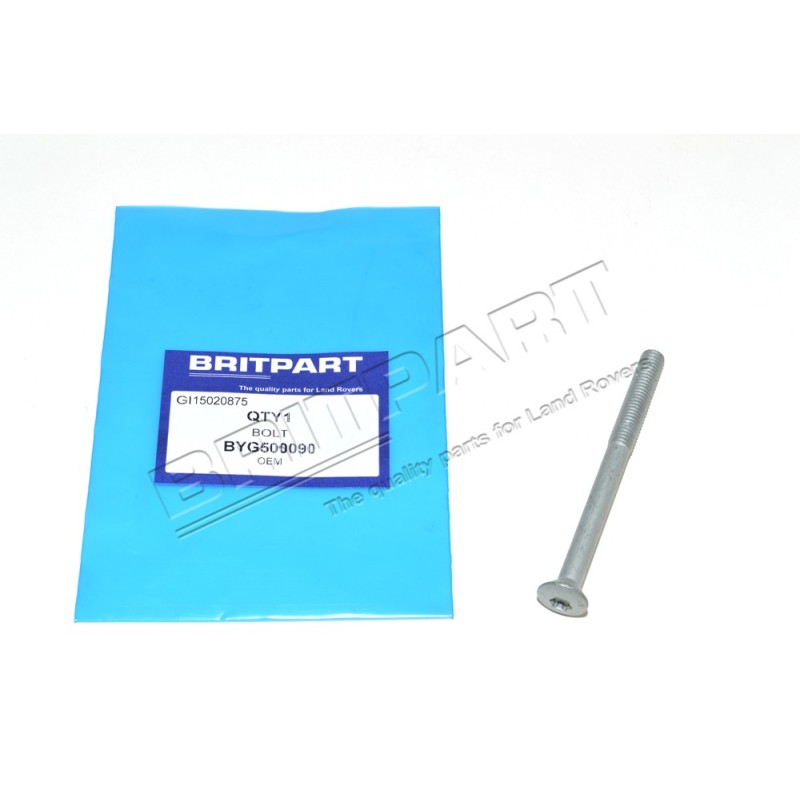 Vis Inférieur des Charnières de Porte Coté Châssis Monté à partir de 2007