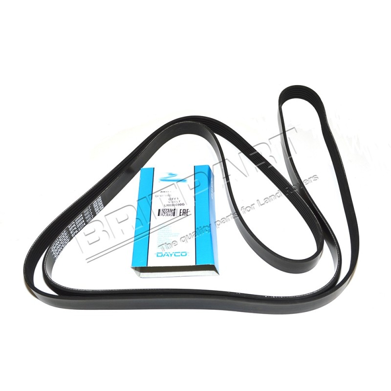 Courroie d'Accessoires DAYCO