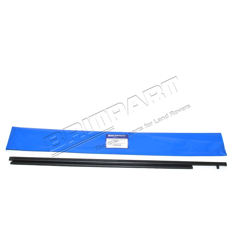 Lèche Vitre Extérieur Arrière Gauche