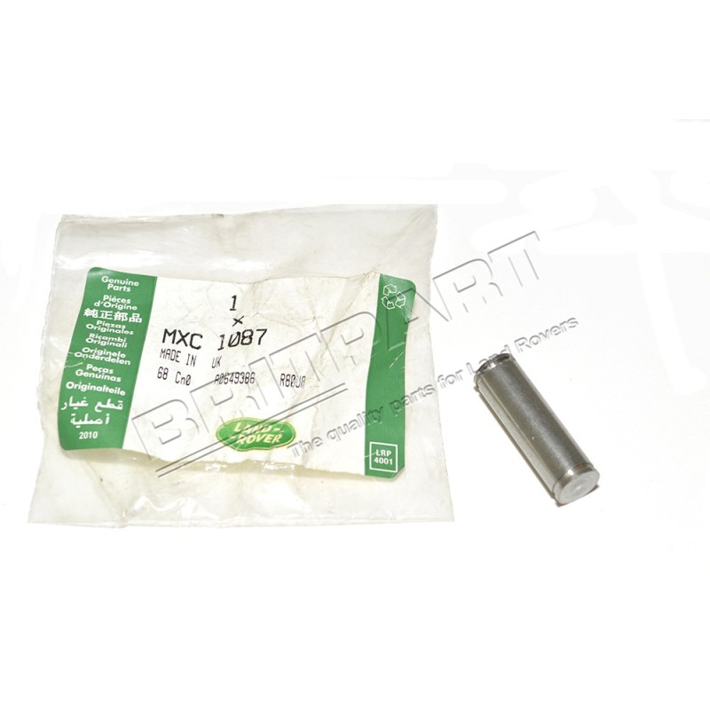 Axe de Butée Supérieur de Porte du Coffre