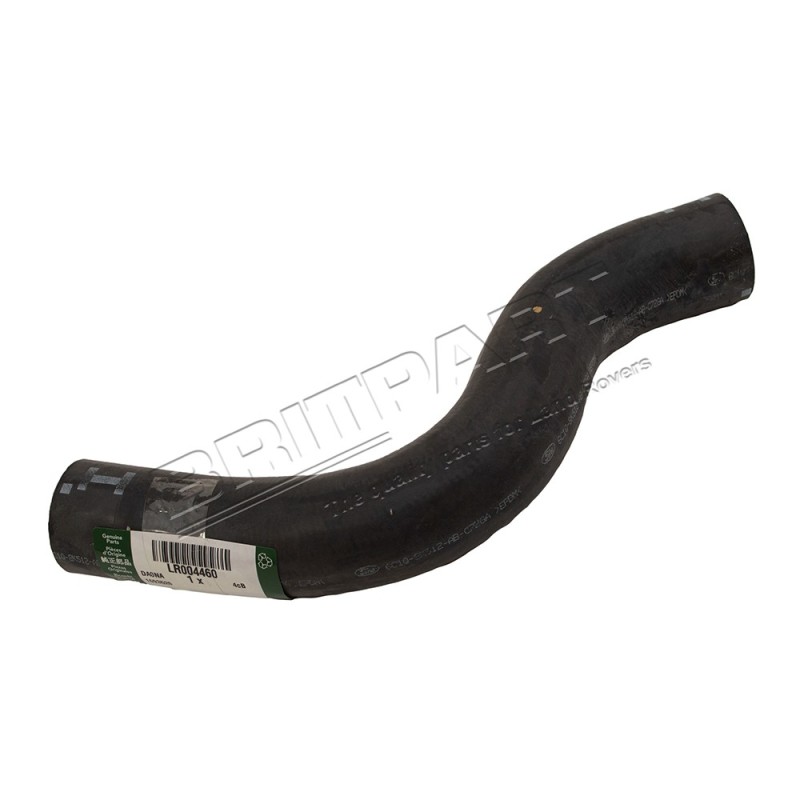 Durite GENUINE Supérieur du Collecteur d'Eau