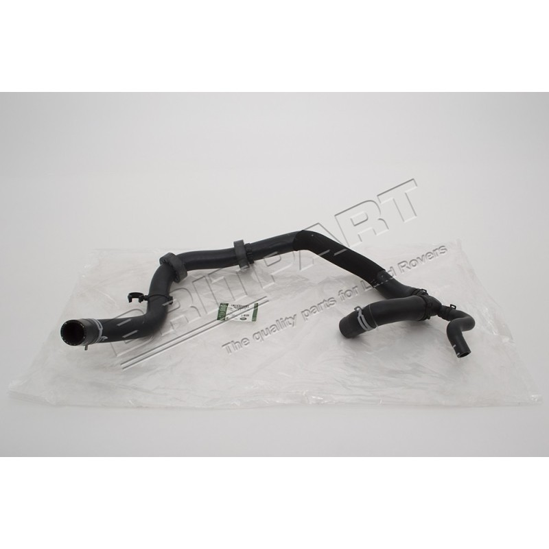 Durite GENUINE du Thermostat à la Pompe à Eau