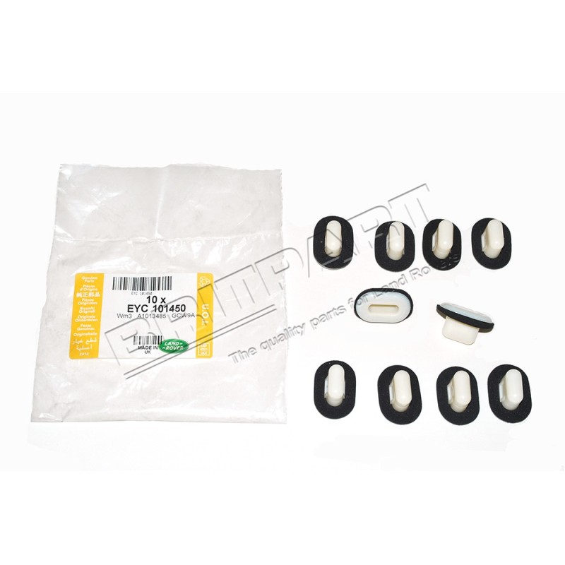 Insert du Auvent Inférieur du Pare Brise