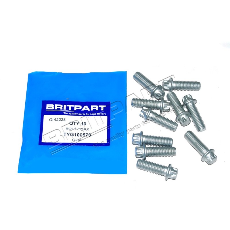 Vis TORX d'Arbre de Transmission Arrière Coté Différentiel