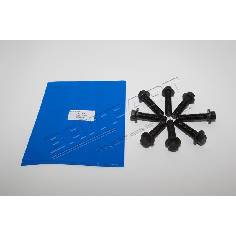 Vis du Volant Moteur 