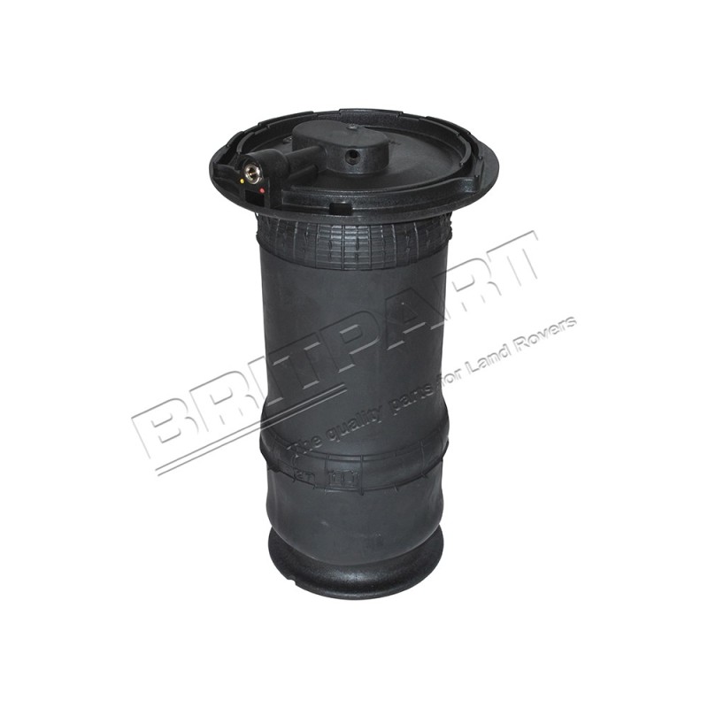 Ressort Pneumatique Arrière DUNLOP 