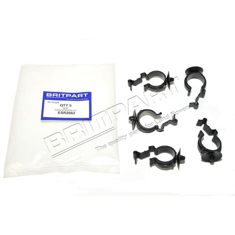 Clips de Durite Inférieur 