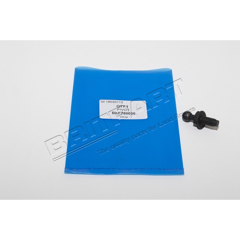 Rotule du Hayon Supérieur