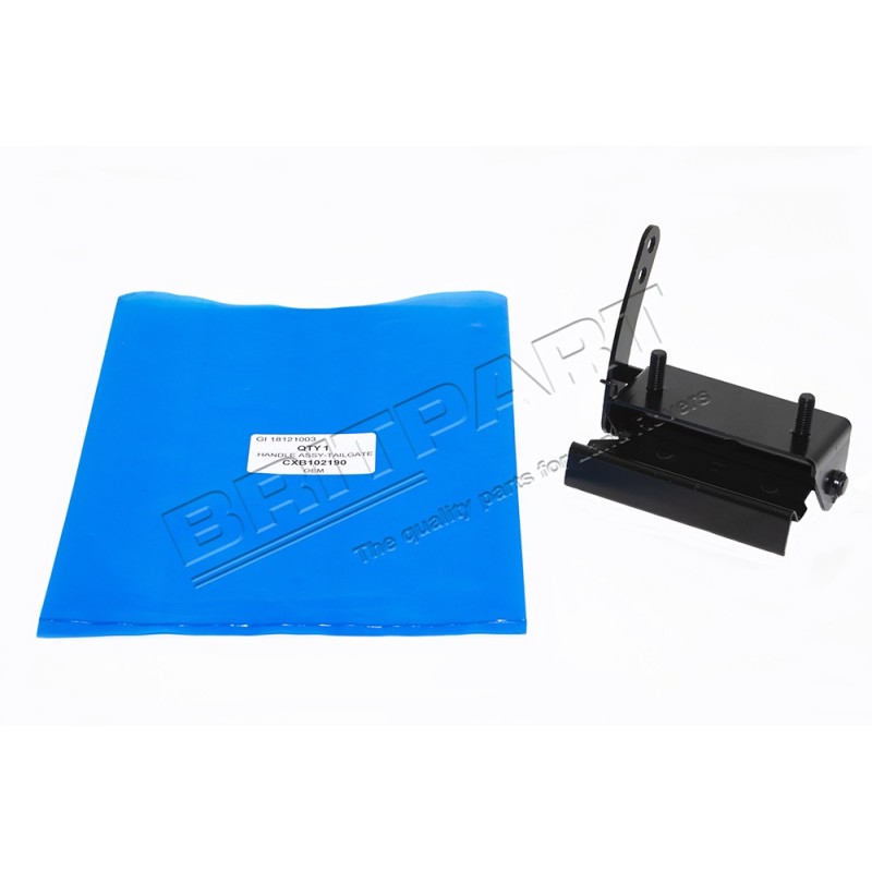 Poignée de la Porte du Coffre Arrière