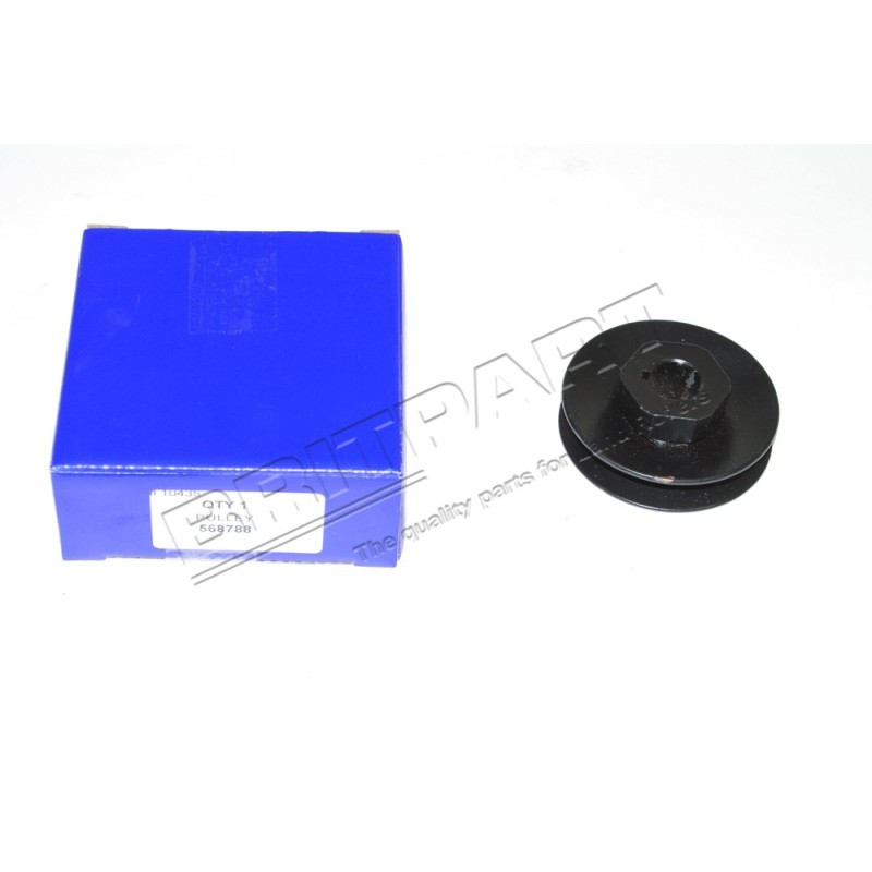 Poulie d'Alternateur 