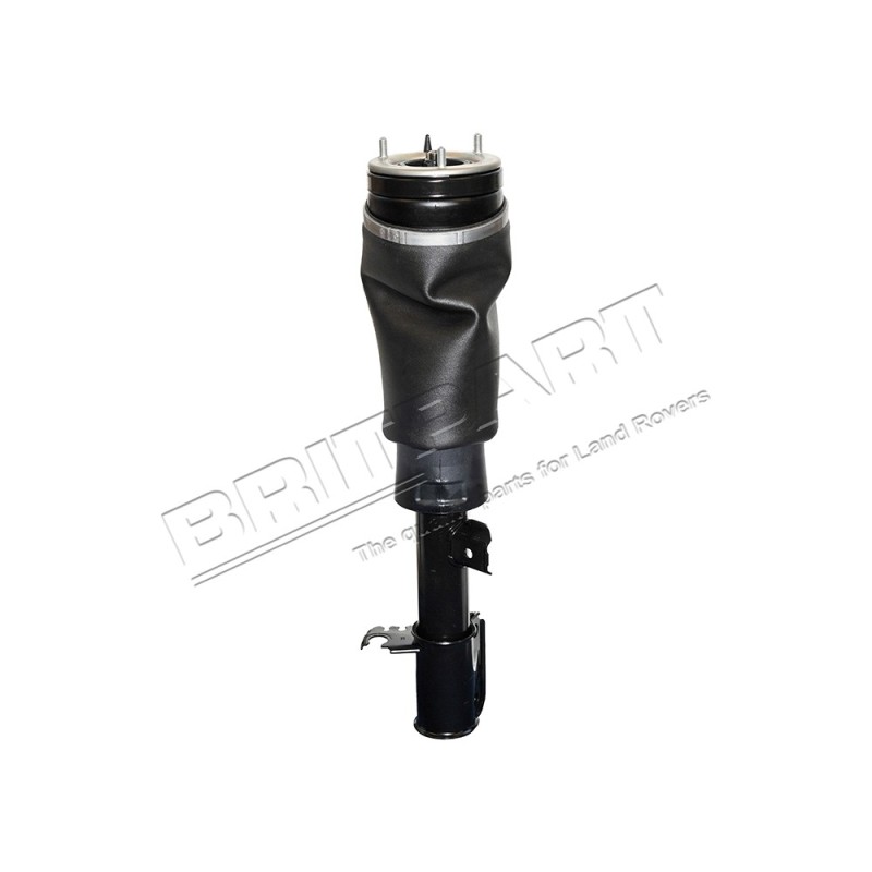 Amortisseur Pneumatique Avant Gauche DUNLOP Monté jusqu'en 2006