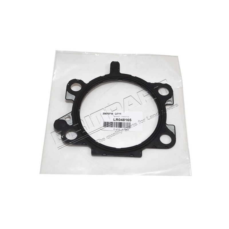 Joint du Corps de Papillon