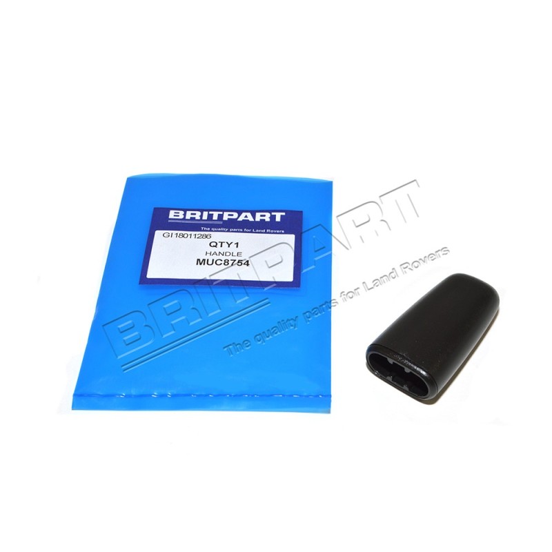 Embout de la Poignée du Dossier des Sièges Avant