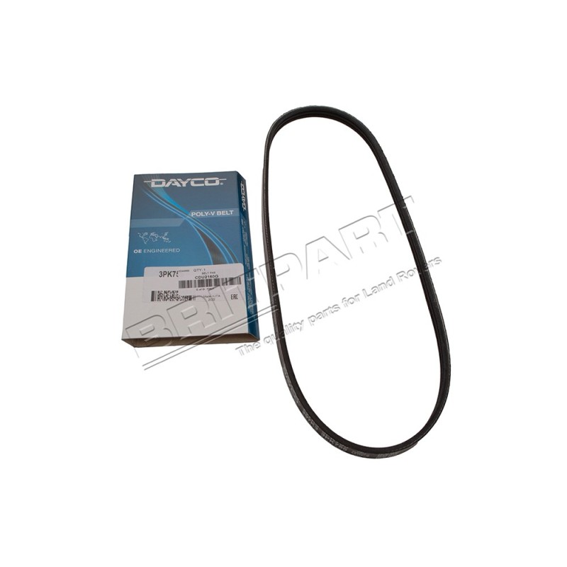 Courroie DAYCO de la Direction Assistée