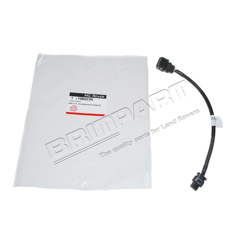 Faisceau du Capteur d'Arbre à Cames 