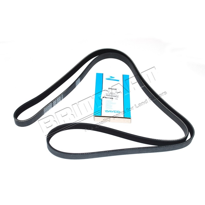 Courroie DAYCO d'Accessoires