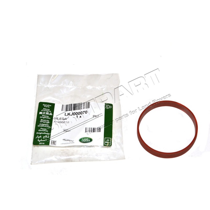 Joint de la Vanne EGR sur le Collecteur d'Admission