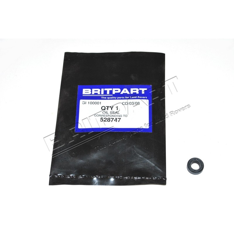 Joint Spi du Pignon de Compteur