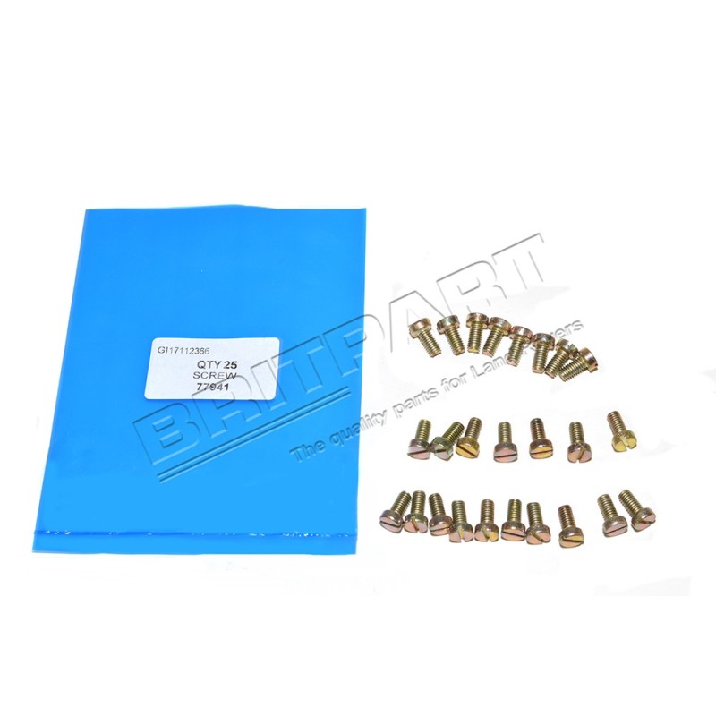 Vis de Fixation de la Goulotte de Remplissage du Carburant