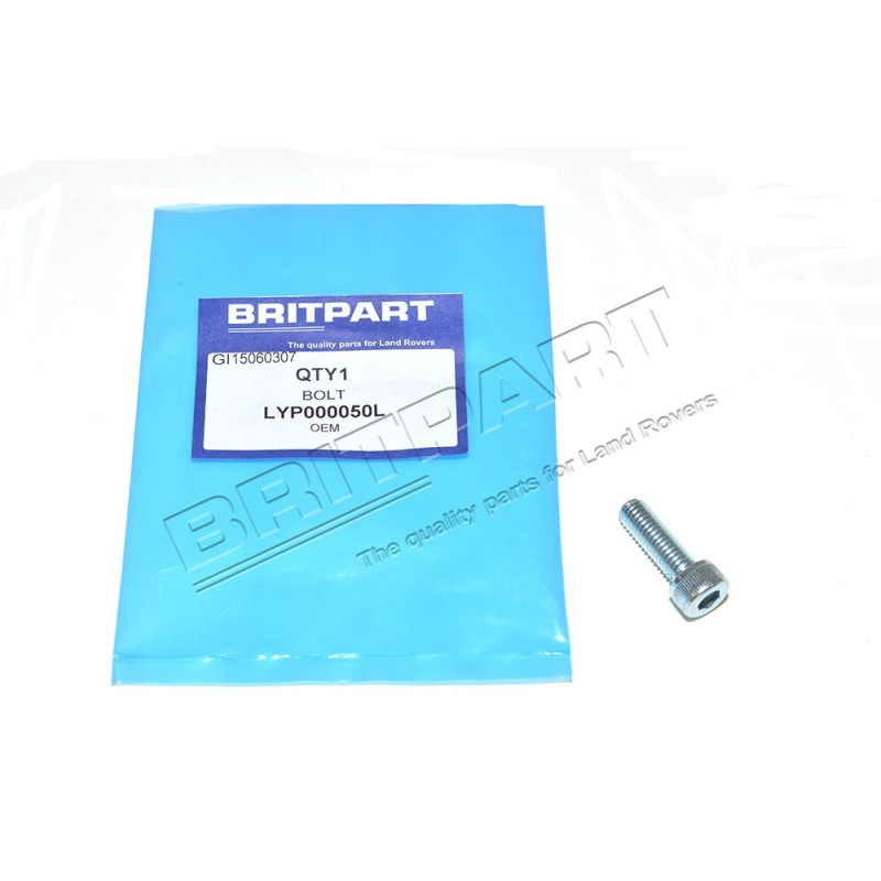 Vis du tuyau de la Vanne EGR 