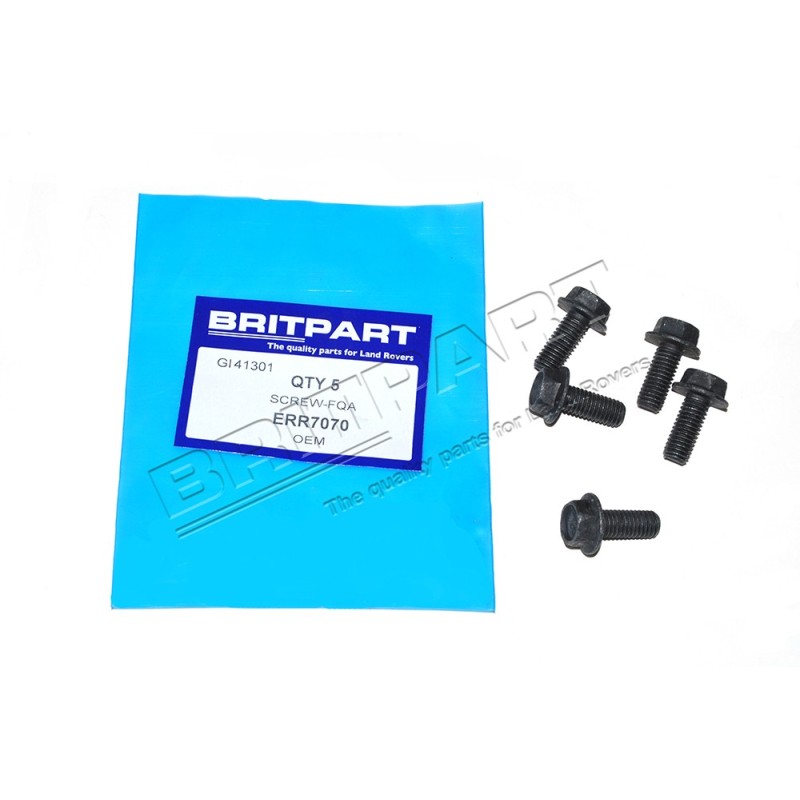 Vis du Pignon de l'Arbre à Cames