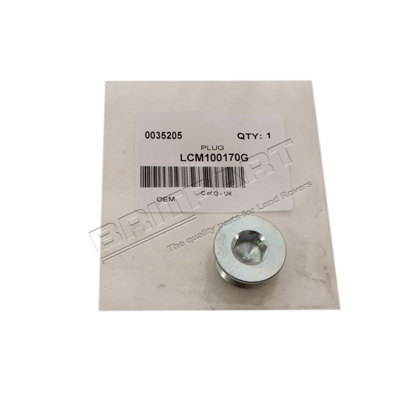 Bouchon de Vidange d'eau de la Culasse