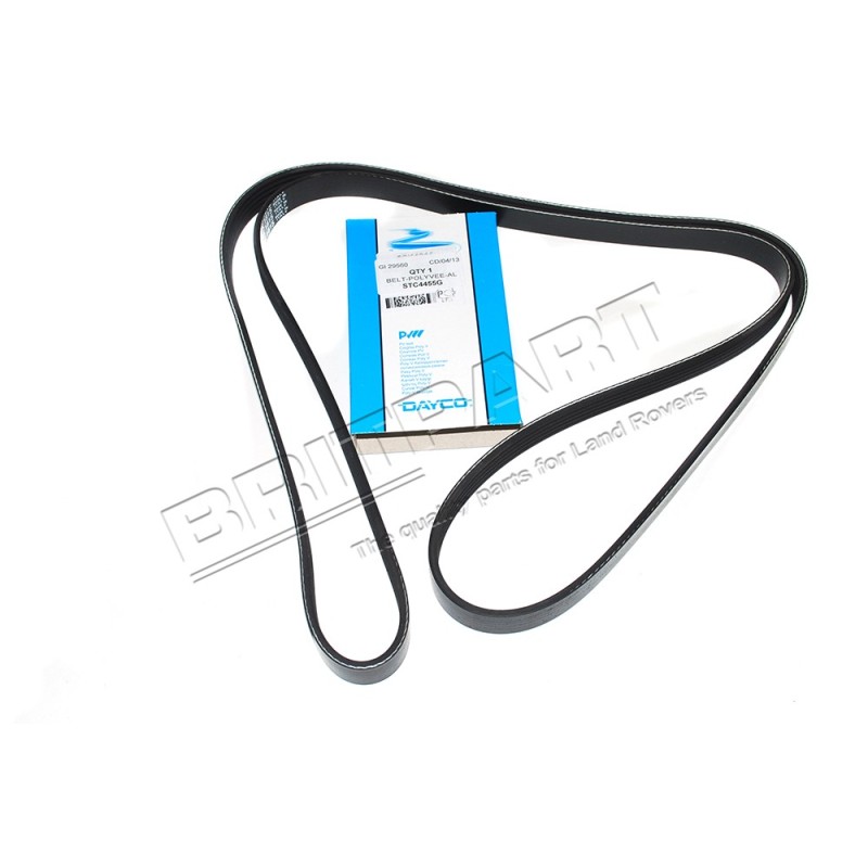 Courroie DAYCO d'Alternateur et Ventilateur