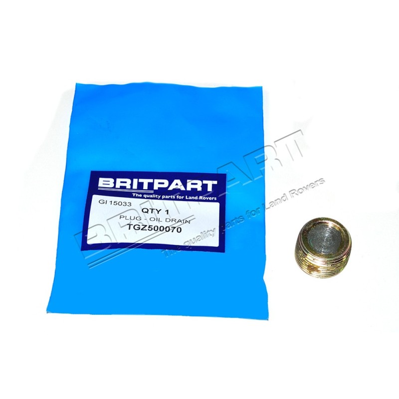 Bouchon Niveau/Vidange non Aimanté du Différentiel Avant ou Arrière