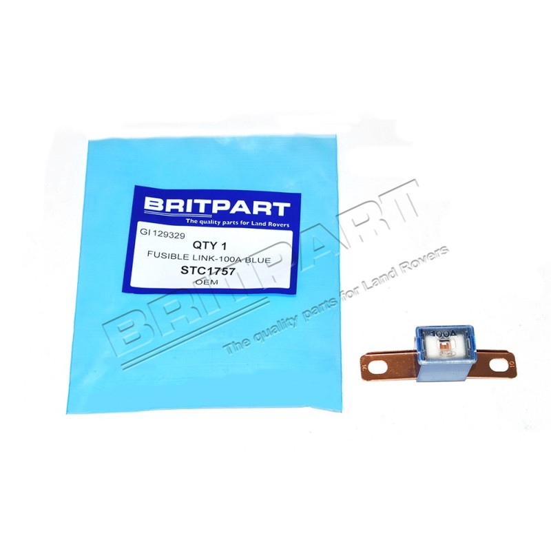 Fusible Lame 100A BLEU Monté jusqu'en 2011