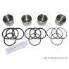 Kit 4 Pistons INOX + Coupelles d'Étrier Arrière