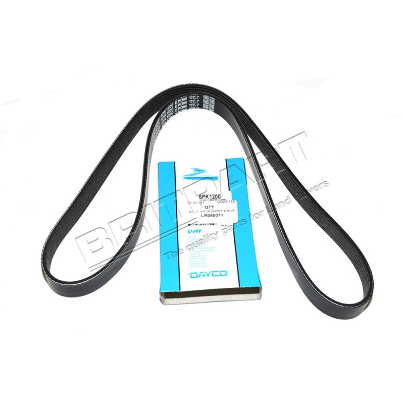 Courroie d'Accessoires DAYCO