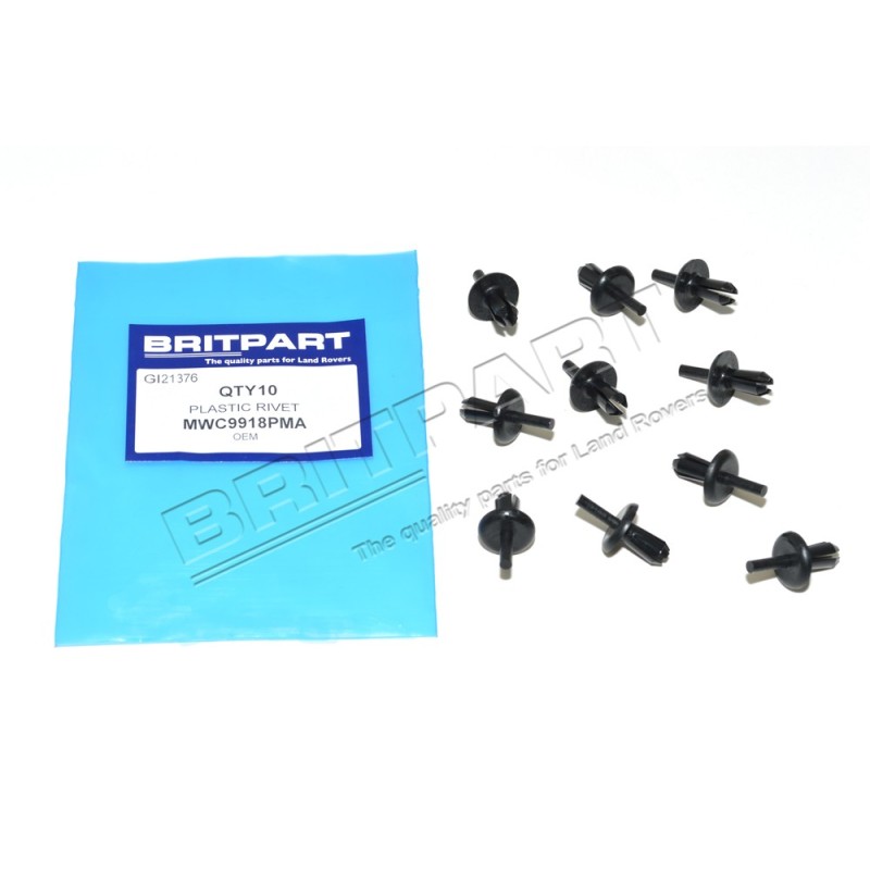 Rivet Plastique couleur NOIR des Garnitures de Porte 