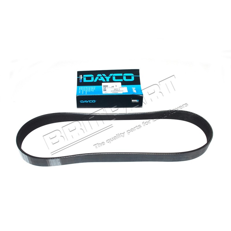 Courroie Secondaire DAYCO