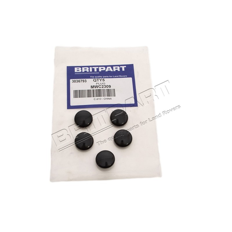 Bouchon d'Obturation Rond du Pivot d'Essuie-Glace sur le Tablier