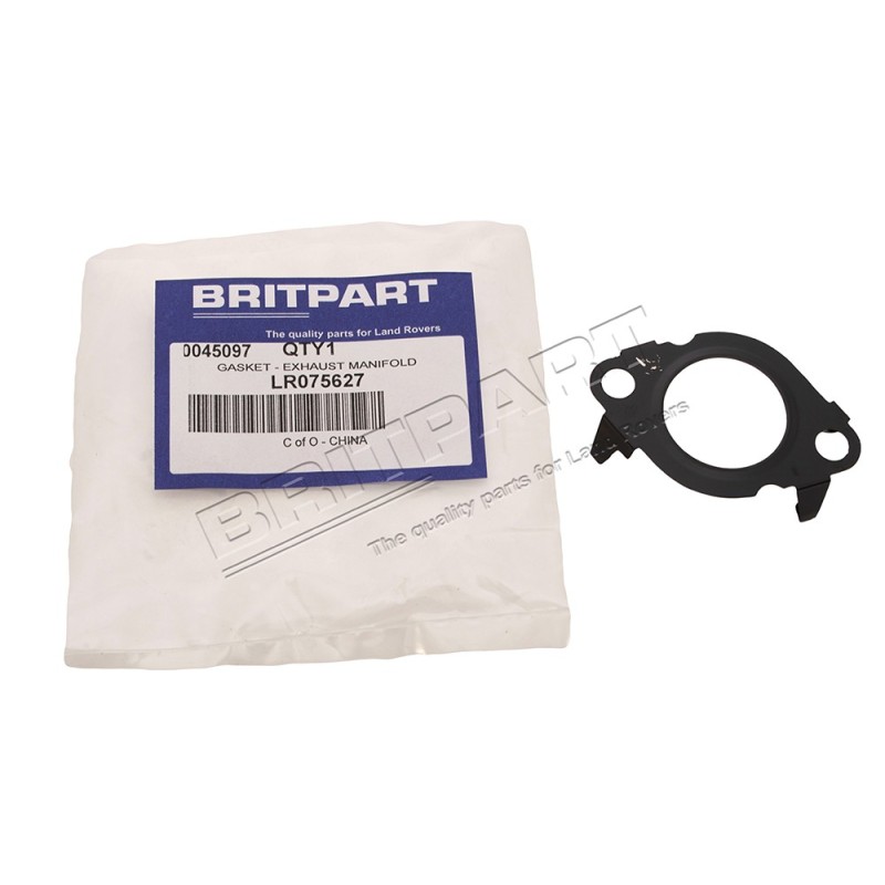 Joint de la Vanne EGR sur le Collecteur