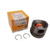 Piston NÜRAL en côte Standard