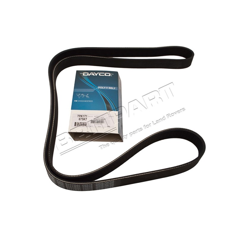 Courroie d'Accessoires DAYCO Montage sans Clim. et sans ACE